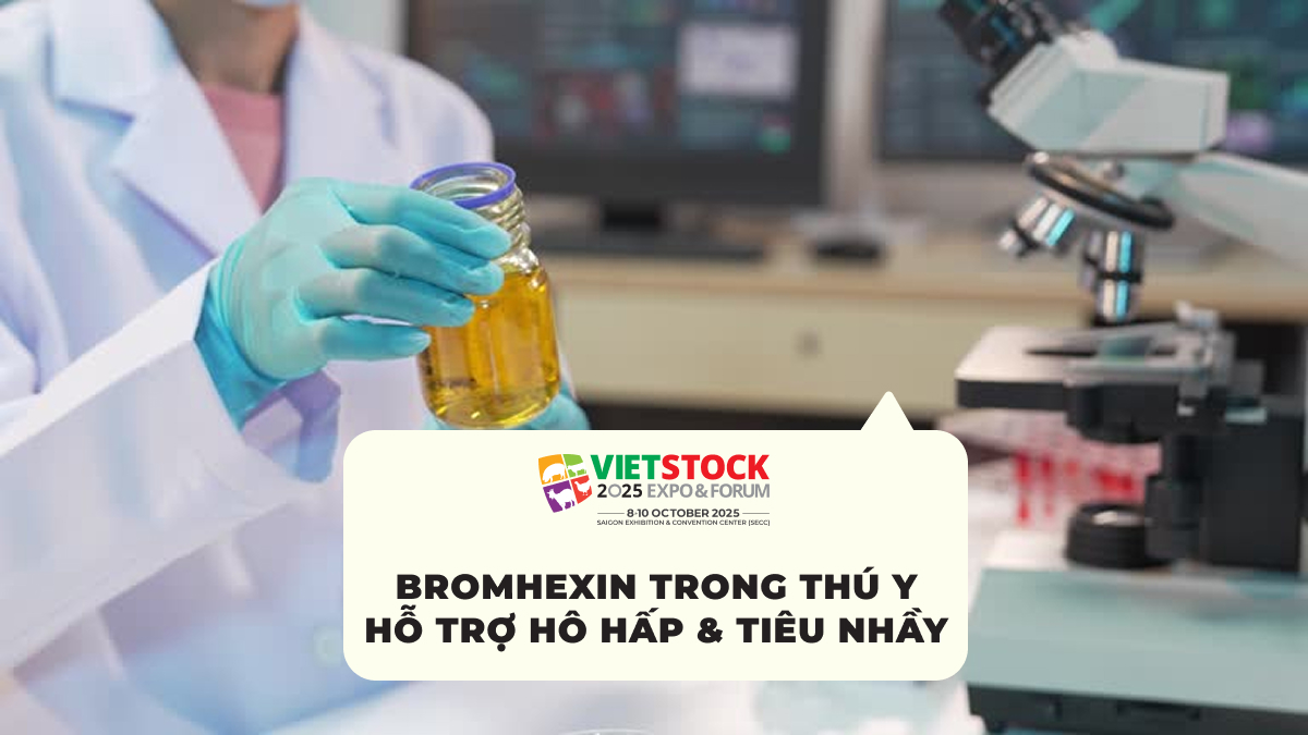 Bromhexin Trong Thú Y: Vai Trò Hỗ Trợ Hô Hấp Và Lưu Ý Khi Sử Dụng