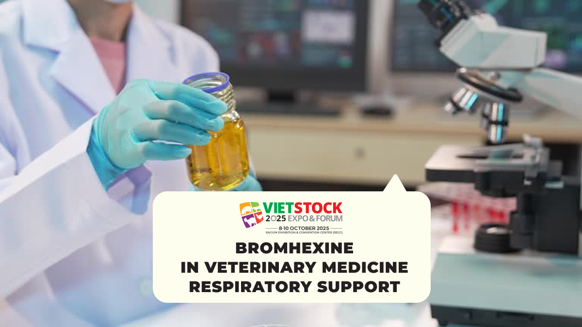 Bromhexine in Veterinary Medicine: Respiratory Support and Key Considerations for Use