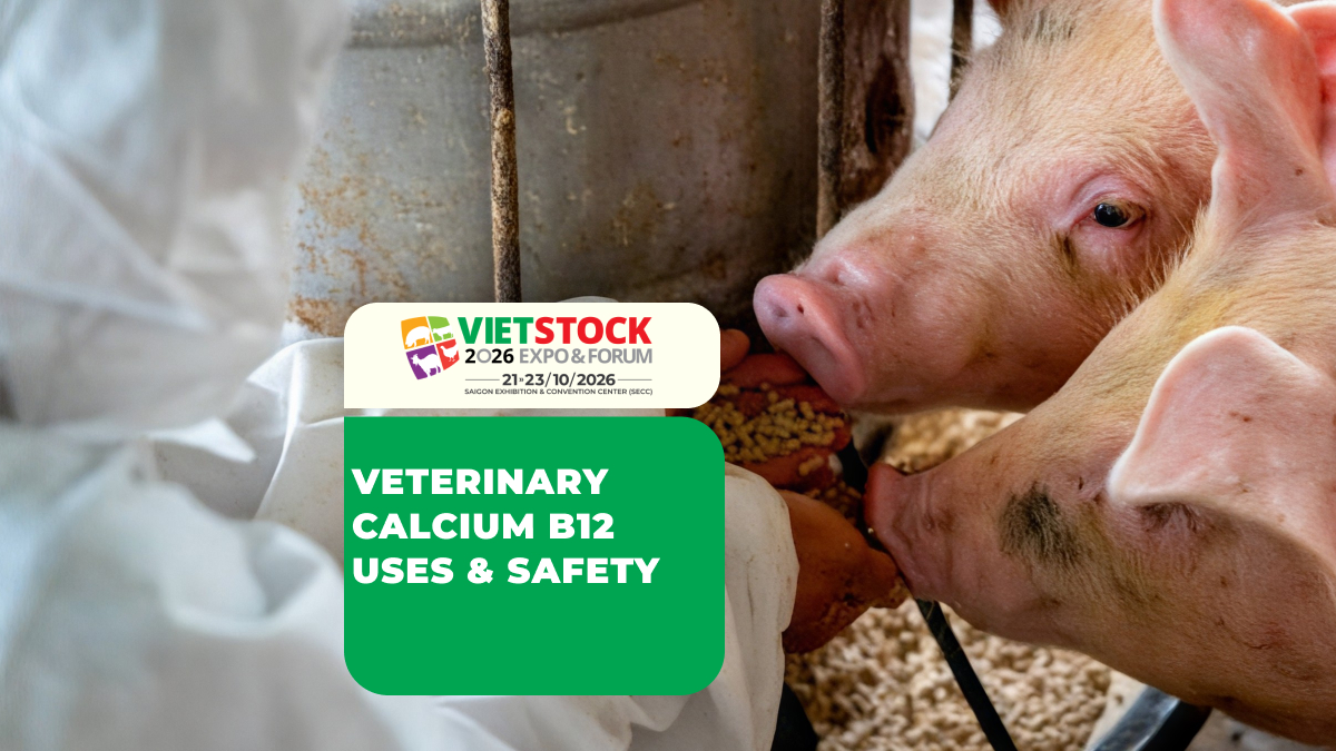 Calcium B12 in Veterinary Medicine: Uses, When Supplementation May Be Needed, and Safety Considerations