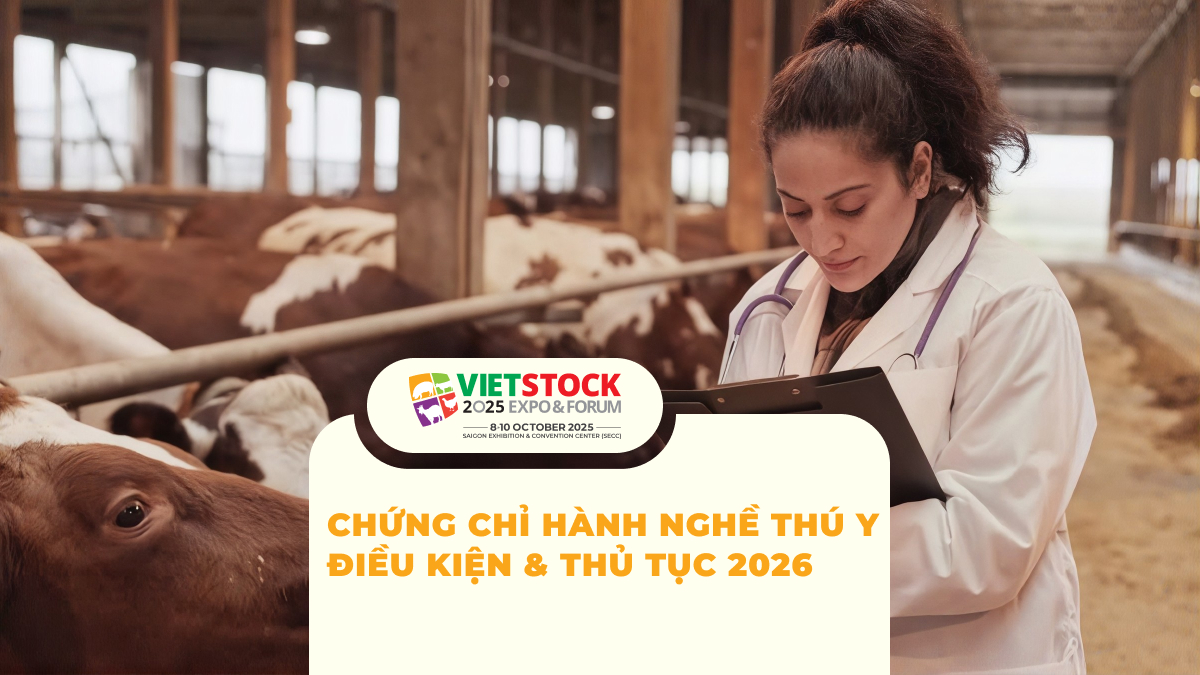 Chứng chỉ hành nghề thú y 2026 và thủ tục cấp chứng chỉ