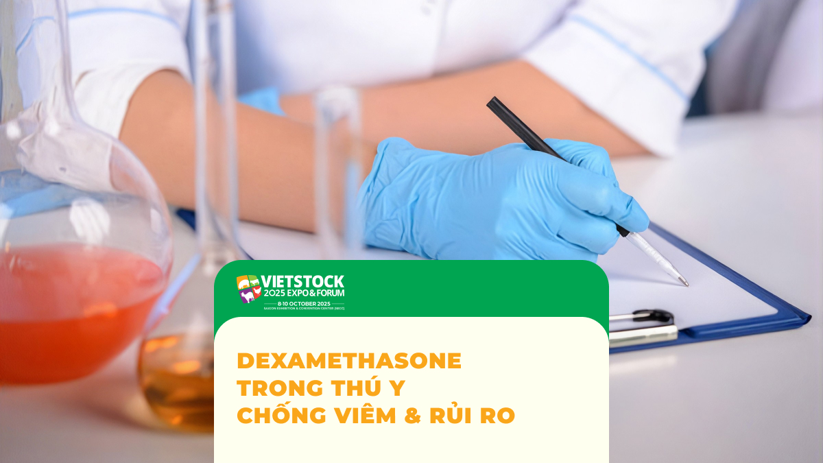 Dexamethasone Trong Thú Y: Vai Trò Chống Viêm, Rủi Ro Và Lưu Ý Khi Sử Dụng