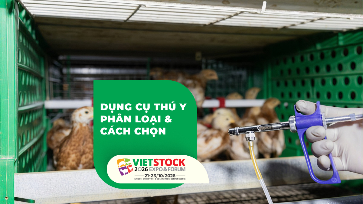 Dụng cụ tiêm thú y được sử dụng trong khu vực chăn nuôi gia cầm