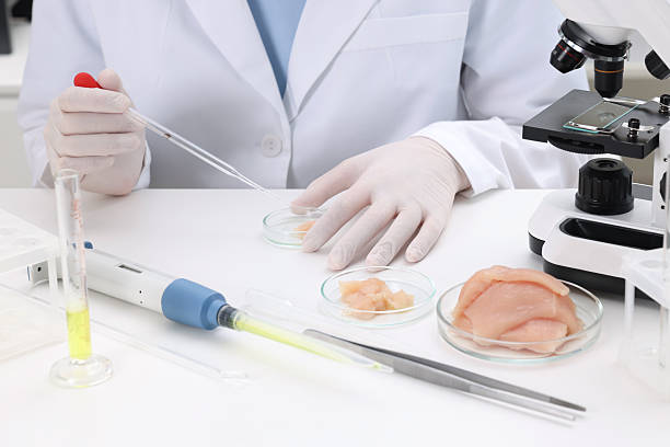Nhân viên phòng thí nghiệm chuẩn bị mẫu xét nghiệm bệnh gia cầm