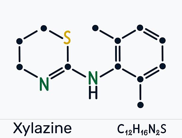 Cấu trúc hóa học của xylazine minh họa hoạt chất an thần sử dụng trong thú y