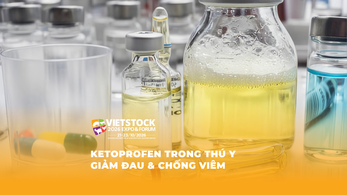 Các lọ thuốc thú y trong phòng thí nghiệm minh họa chủ đề ketoprofen chống viêm và giảm đau