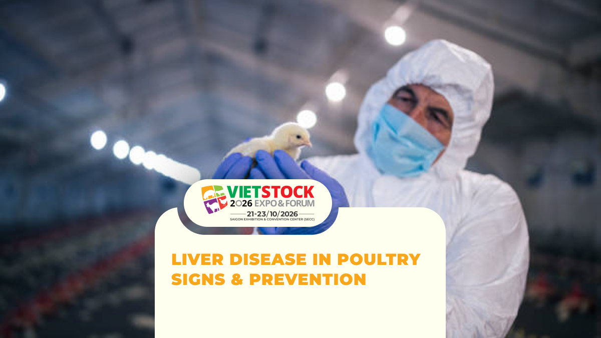 Liver Disease in Poultry: Causes, Signs, and Prevention