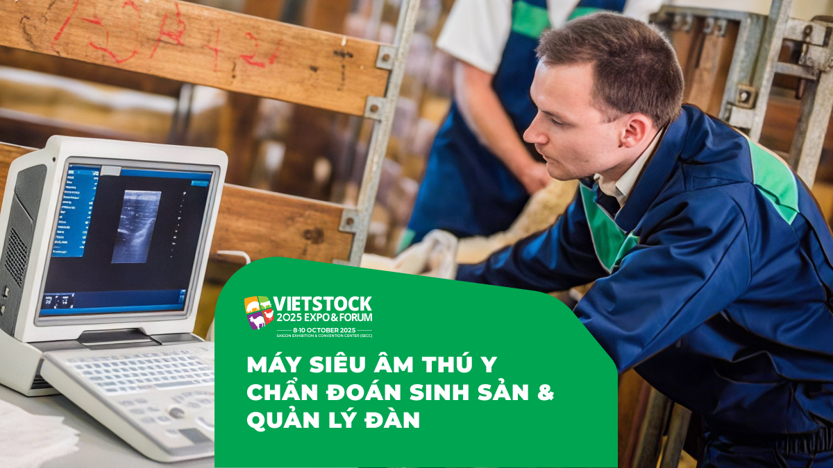 Máy siêu âm thú y hỗ trợ chẩn đoán sinh sản và quản lý đàn
