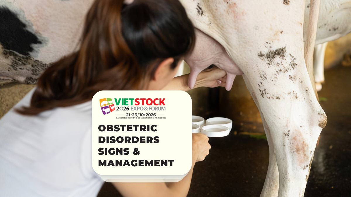 Obstetric Disorders in Livestock: Warning Signs and Postpartum Management