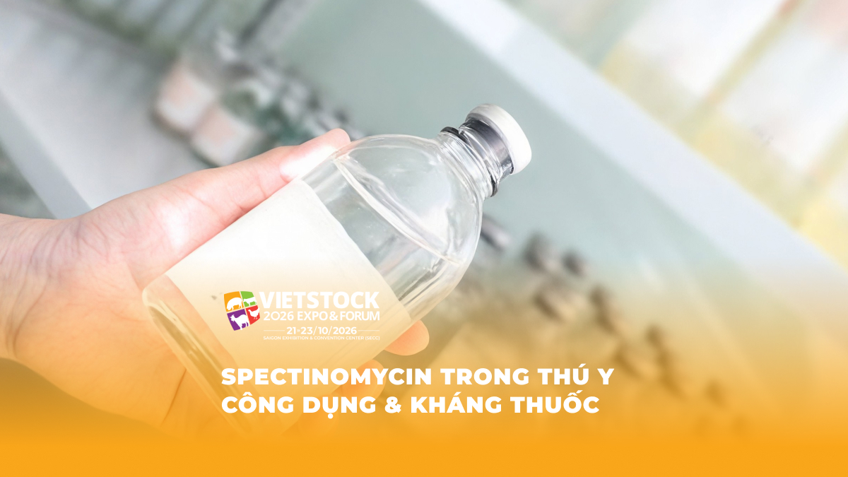 Chai thuốc thú y dạng dung dịch được cầm trong khu vực pha chế hoặc điều trị