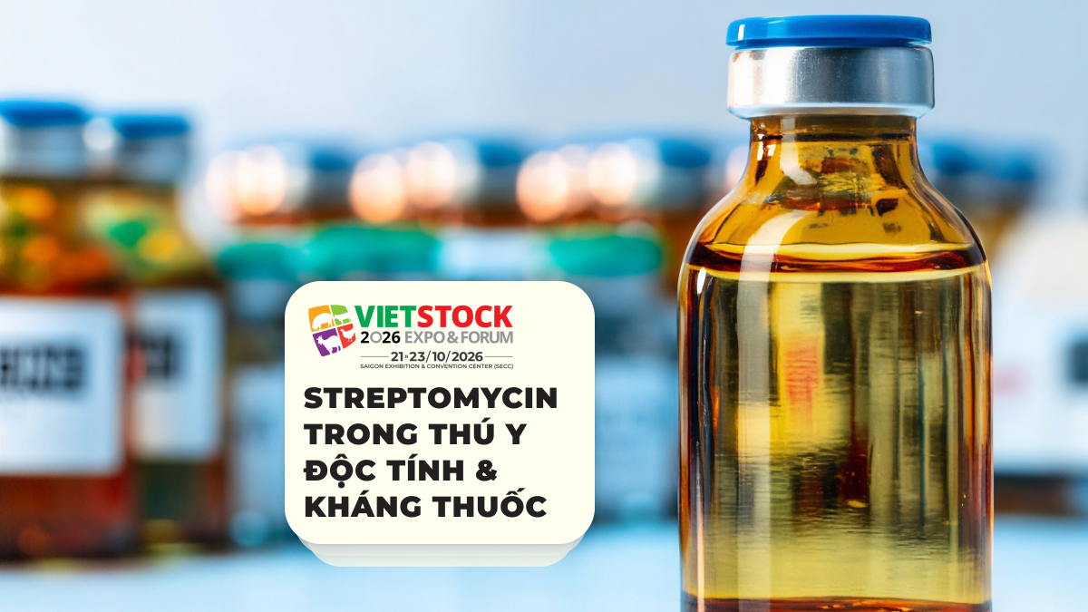 Lọ thuốc thú y dạng dung dịch minh họa chủ đề sử dụng streptomycin trong chăn nuôi