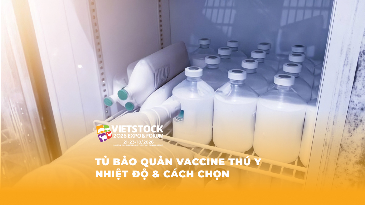 Các chai chế phẩm thú y trong tủ lạnh minh họa quy trình bảo quản vaccine