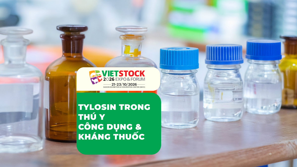 Tylosin Trong Thú Y: Phạm Vi Sử Dụng, Kháng Thuốc Và Lưu Ý Tồn Dư