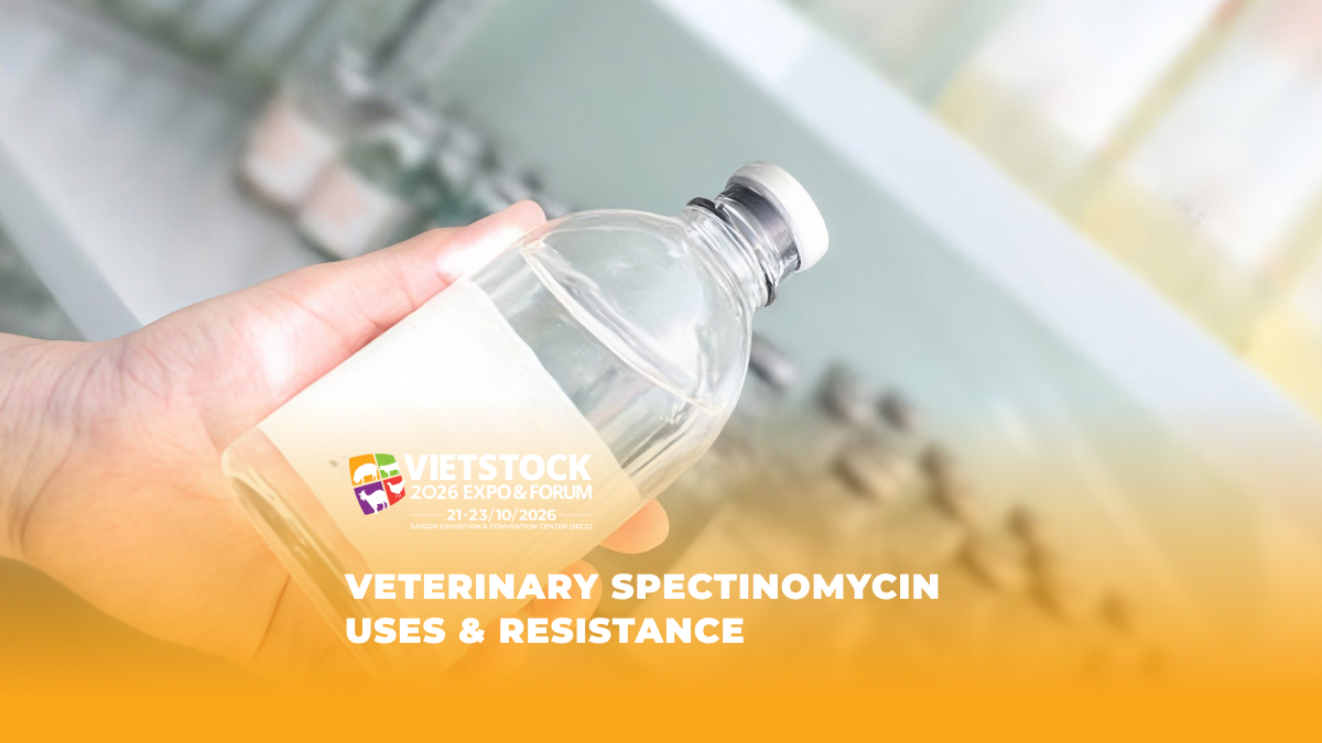 Spectinomycin in Veterinary Medicine: Characteristics, Scope of Use, and Antimicrobial Resistance Considerations