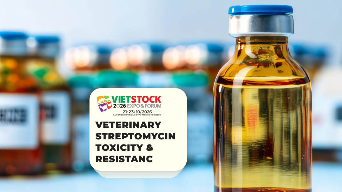Streptomycin in Veterinary Medicine: Uses, Limitations, and Antimicrobial Resistance Risks