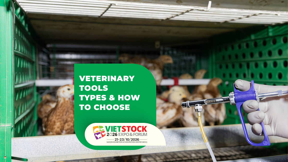 Veterinary Tools: Classification, Uses, and How to Choose the Right Tools for a Farm