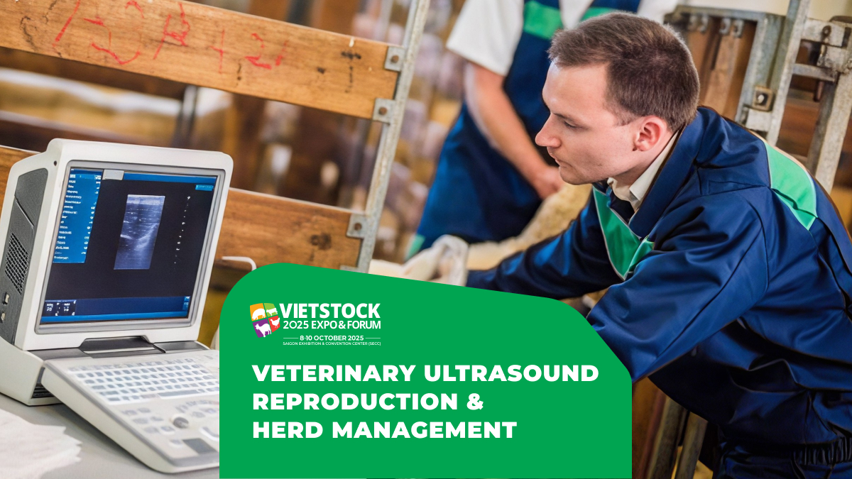 Veterinary Ultrasound: Applications in Reproductive Diagnosis and Herd Management