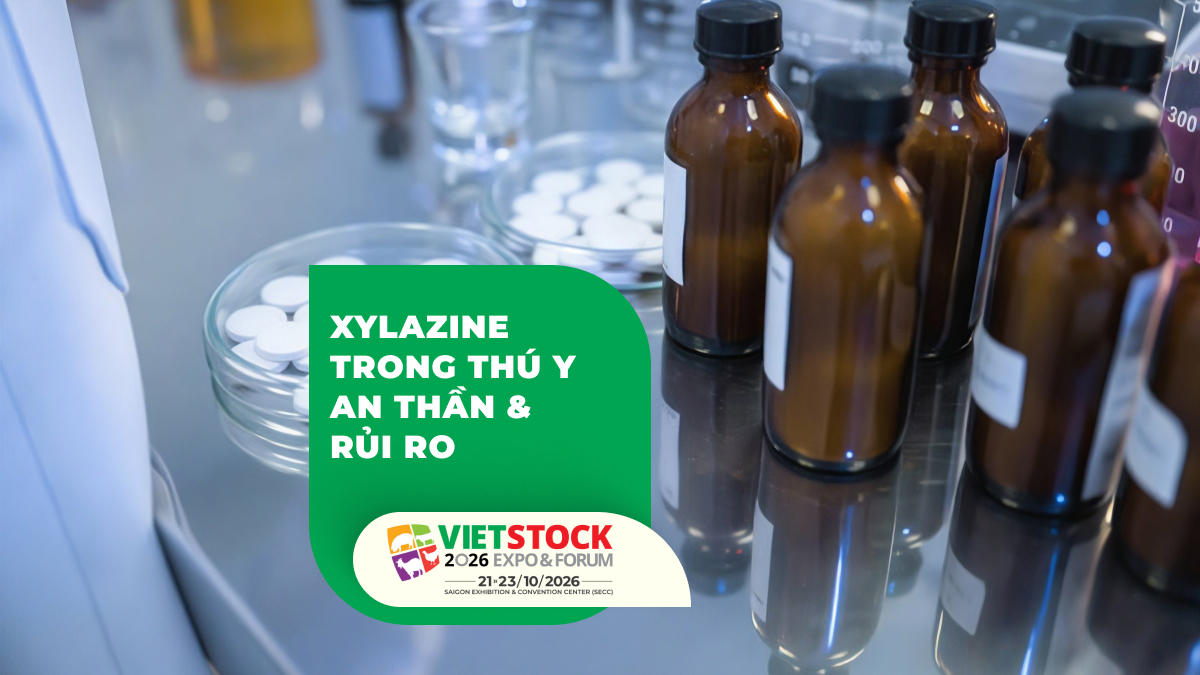 Các chai thuốc thú y trong phòng thí nghiệm minh họa chủ đề xylazine và an thần vật nuôi